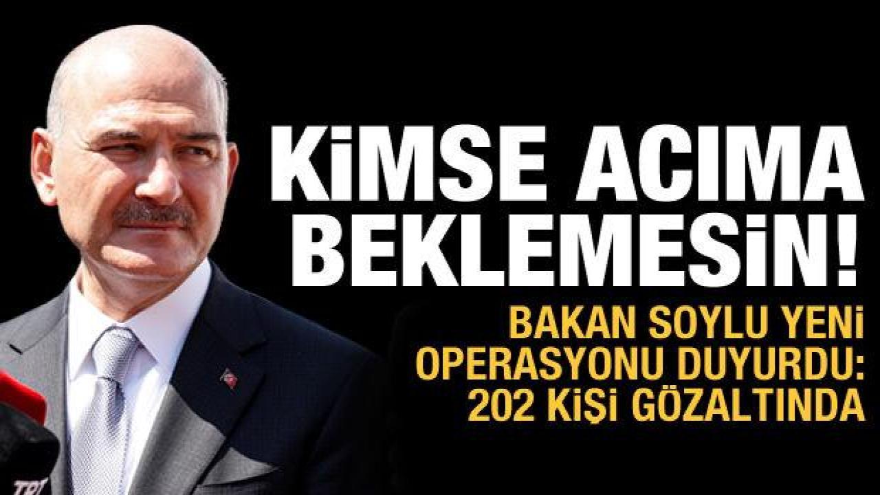 Kökünü kurutma operasyonu! Soylu açıkladı: 202 kişi gözaltında