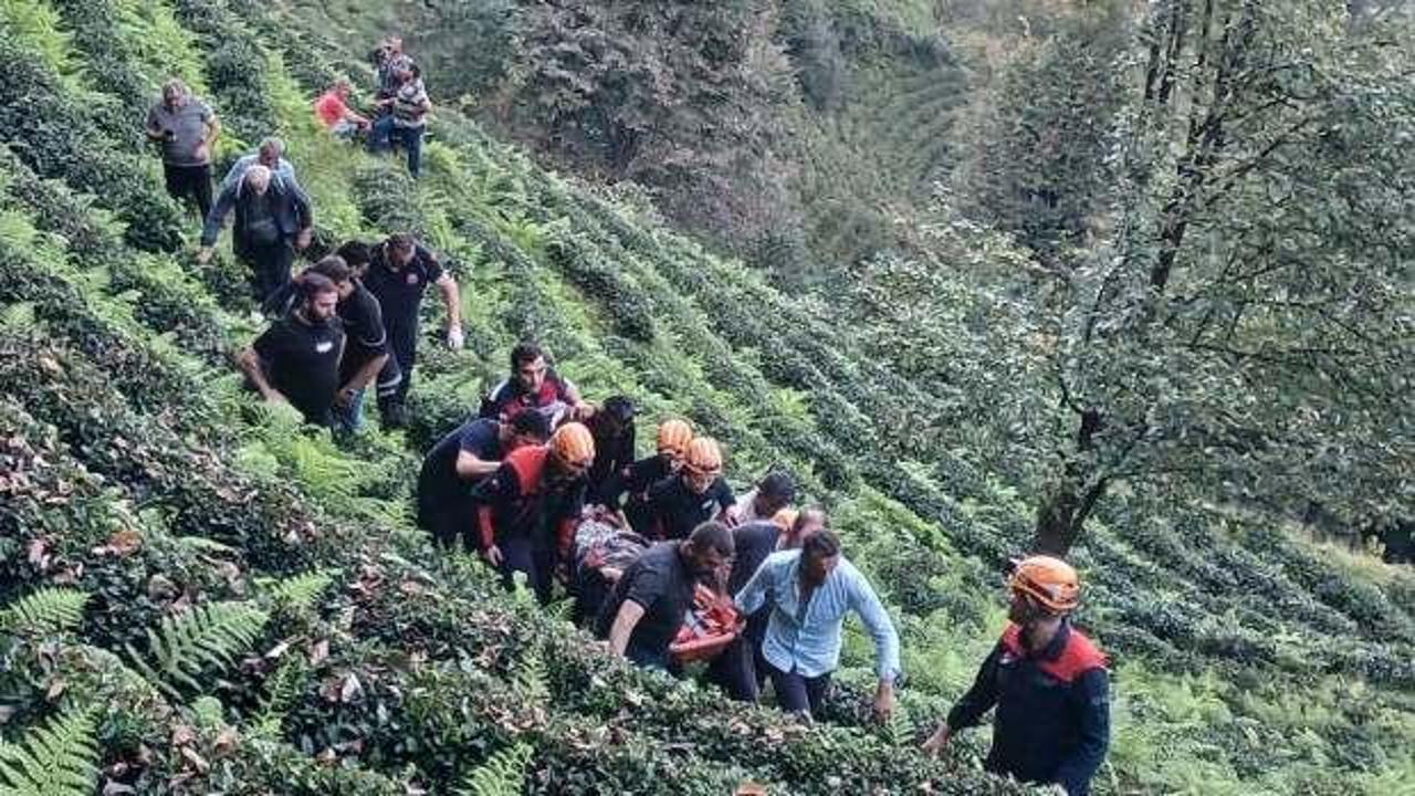 Kontrolü kaybeden sürücü çay bahçesine yuvarlandı: 1 ölü, 1 yaralı