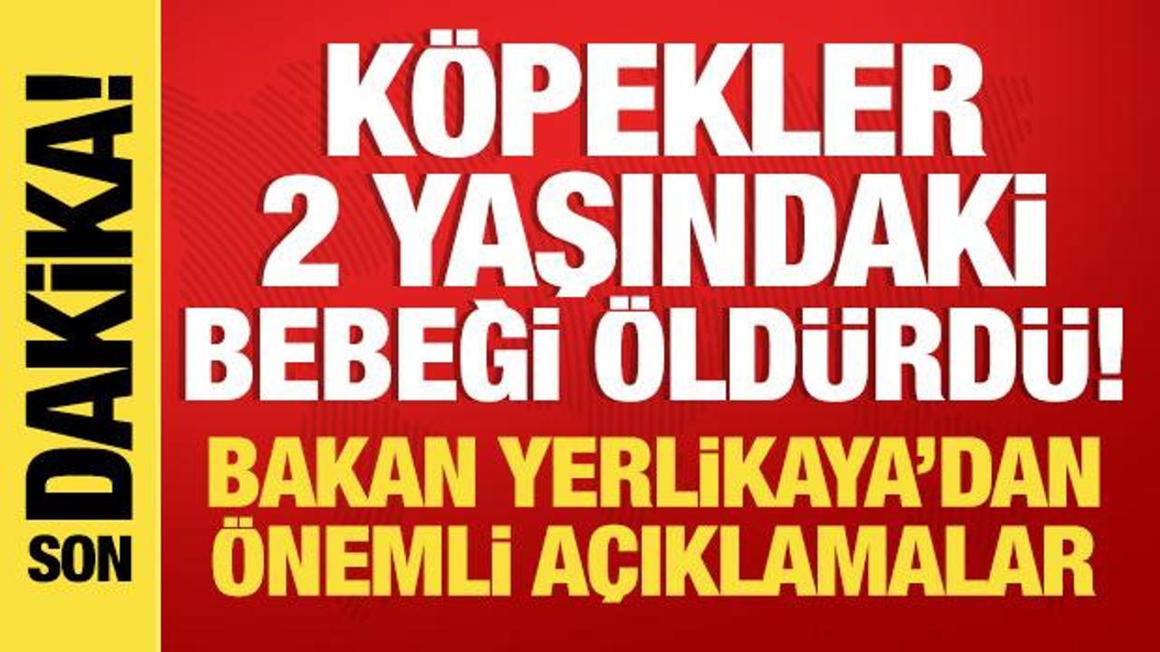 Konya'da başıboş köpek dehşeti: Bakan Yerlikaya'dan son dakika açıklamalar!