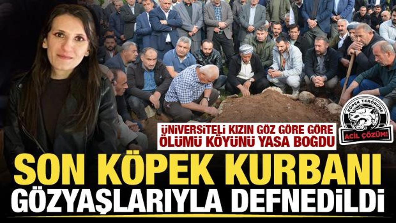 Köpek terörü kurbanı üniversiteli genç kız gözyaşlarıyla toprağa verildi