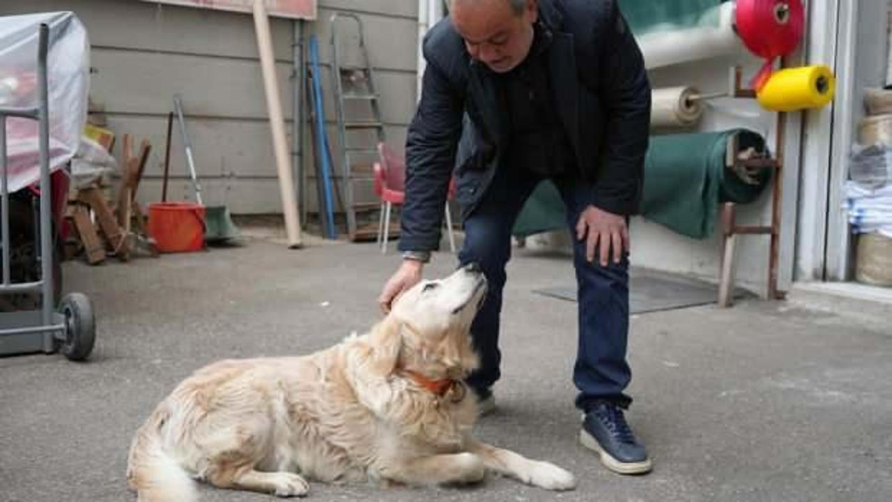 Köpekten kaçarken bacağını kırdı, 677 bin lira tazminat kazandı