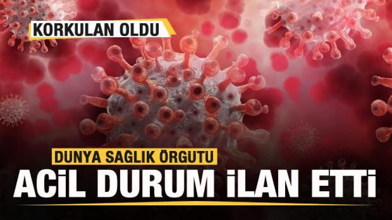 Korkulan oldu! DSÖ küresel acil durum ilan etti