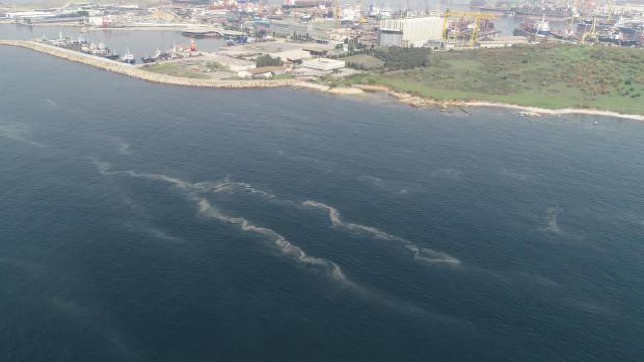 Korkutan görüntü: Müsilaj her geçen dakika artıyor