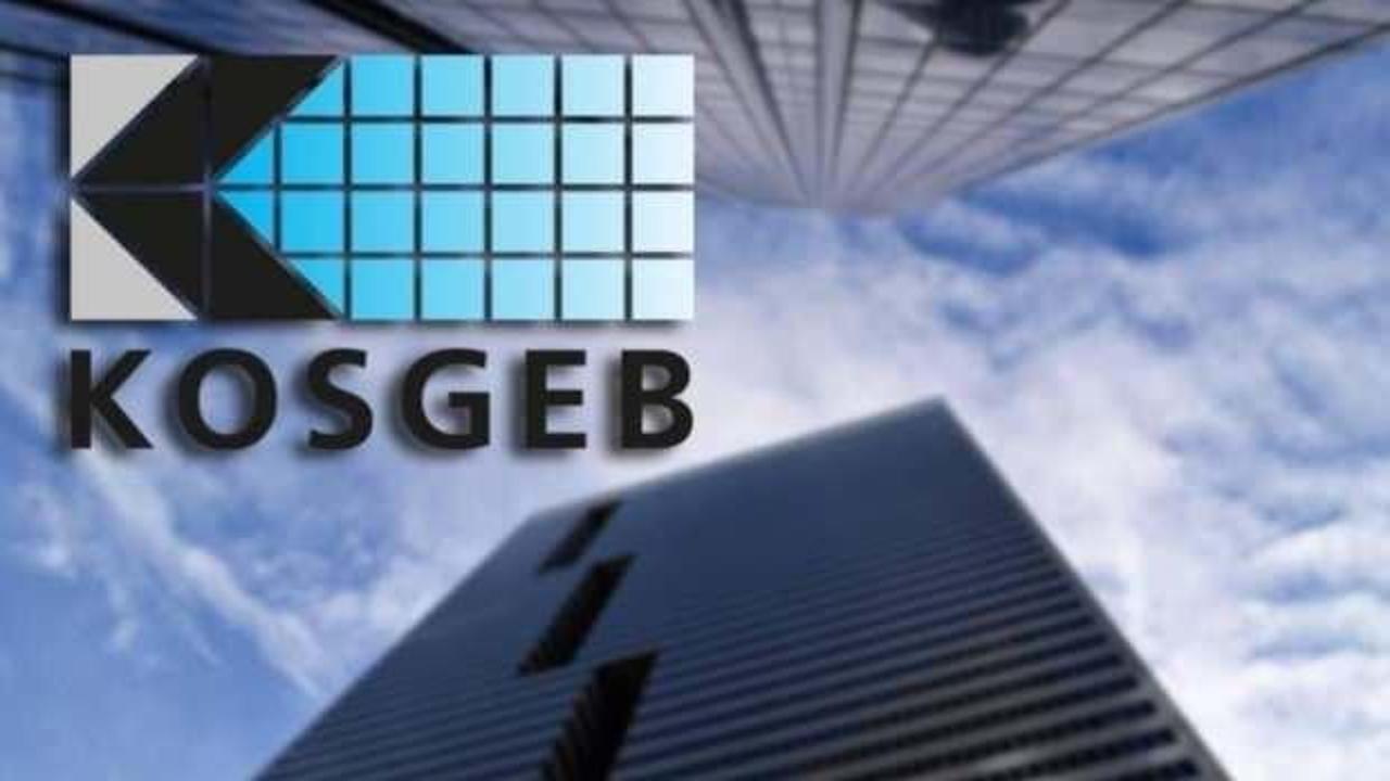 KOSGEB 11 şehirde 