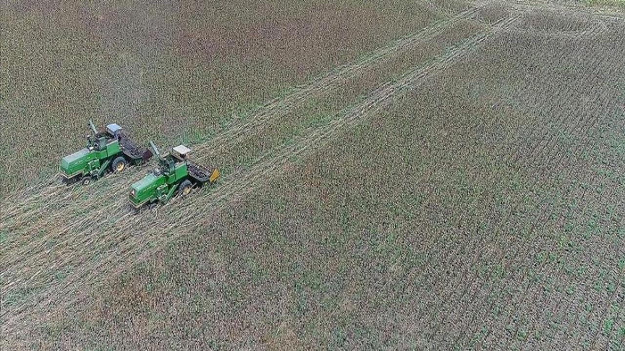 Kredi ve hibe programları ile ilgili yeni adım! Bakanlık düğmeye bastı