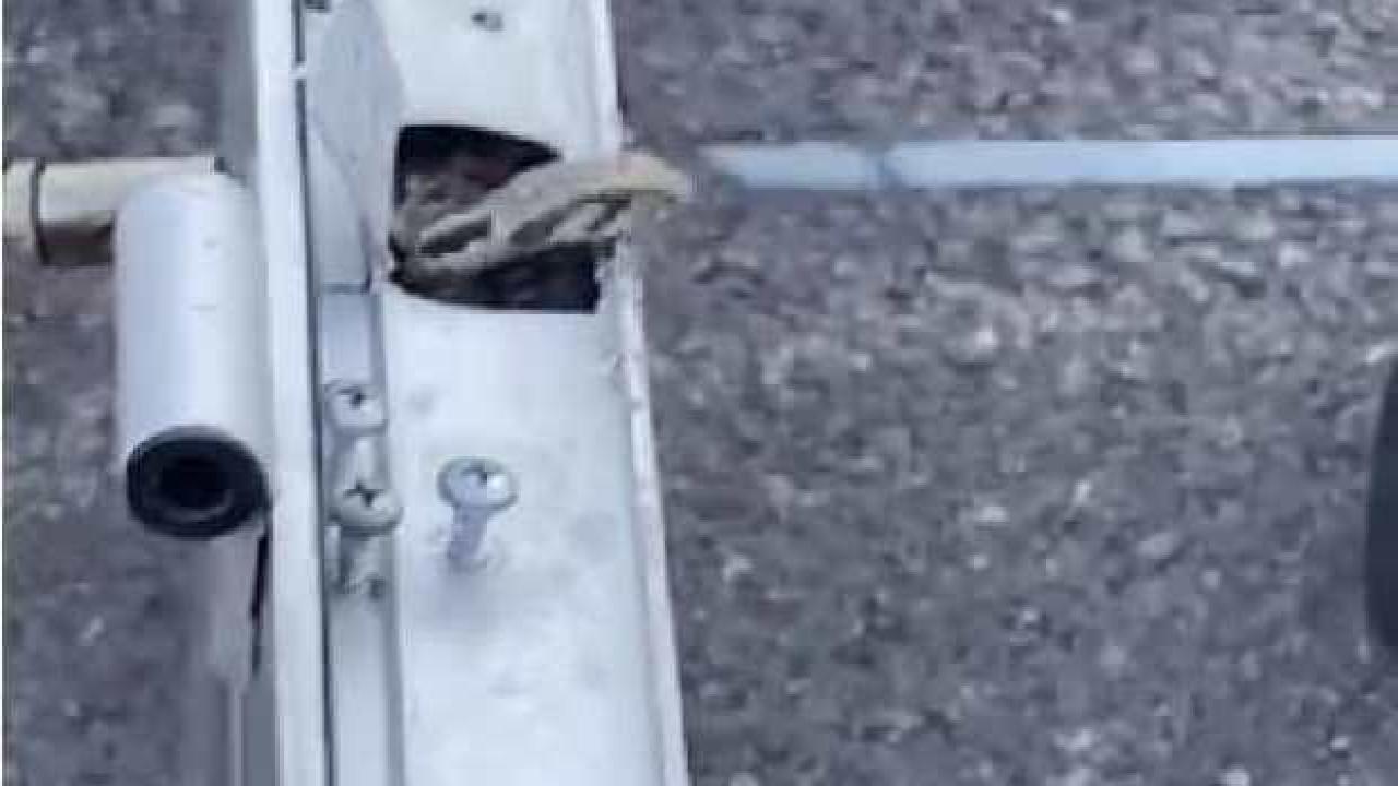 Kuaför kapısının içine giren 1,5 metrelik yılanı itfaiyeciler çıkardı