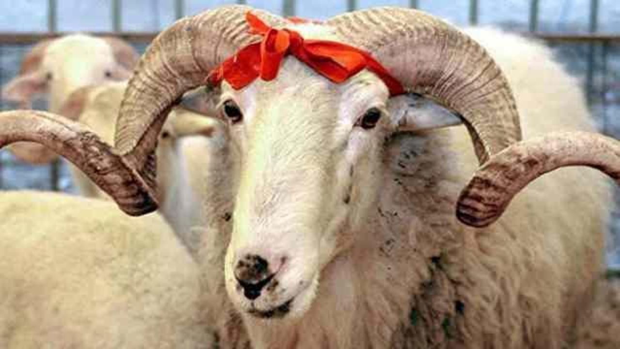 Kurban kesecekler dikkat: Cezası 16.000 TL'ye yükseldi!