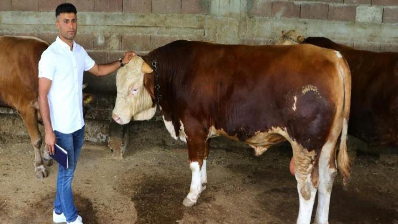Kurbanlık alacaklara önemli uyarı!