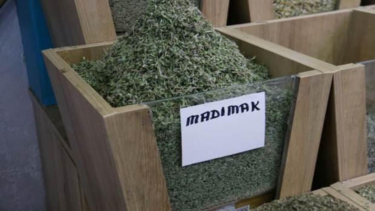 Kurusu yaşından 5 kat daha pahalı