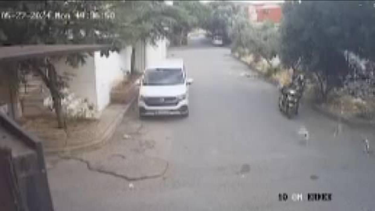Kuryeye adli işlem başlatıldı! Kendisini başıboş köpeklerden korumak suç oldu