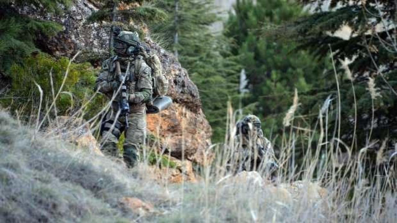 Lice'de iki terörist etkisiz hale getirildi