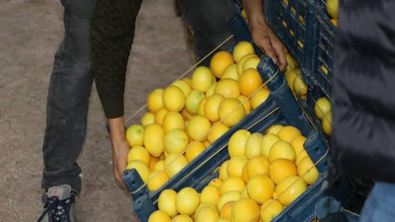 Limonda marketlerdeki fiyatlar 30 lirayı geçti!