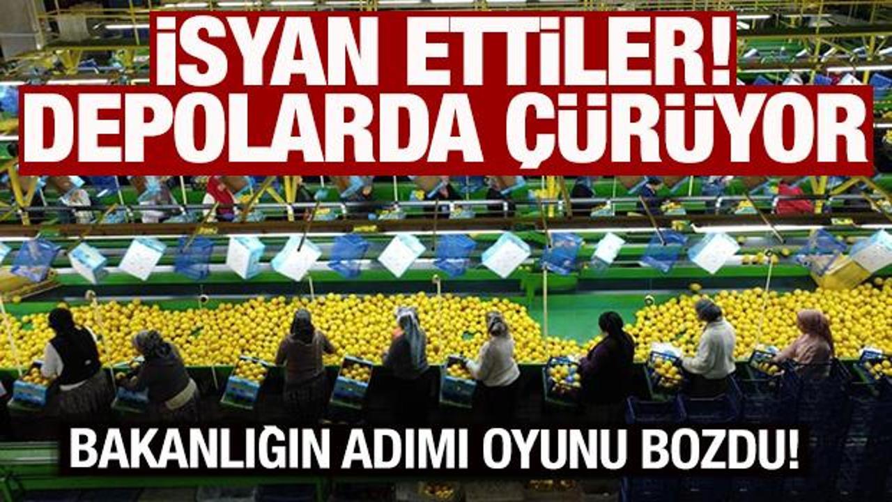 Limonda stok oyunu! Depolarda çürümeye bırakıldı