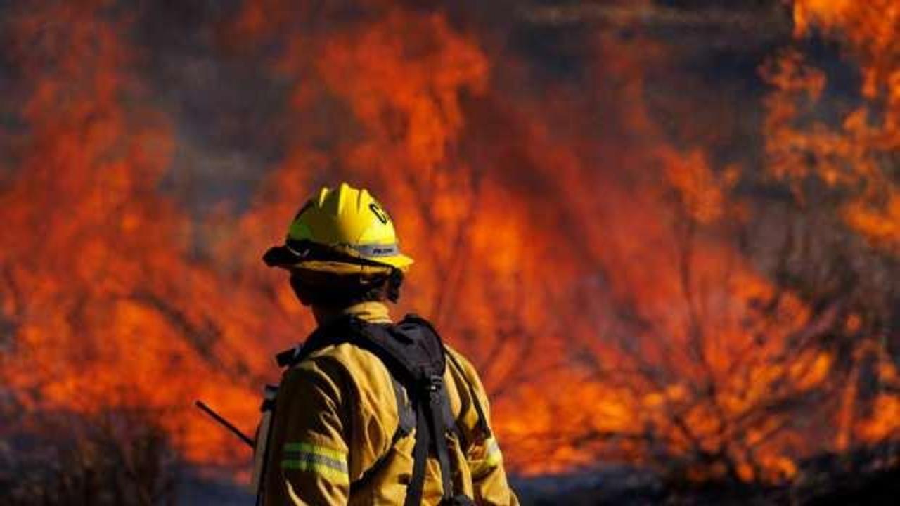 Los Angeles'ta çıkan orman yangınında 1200 kişi tahliye edildi