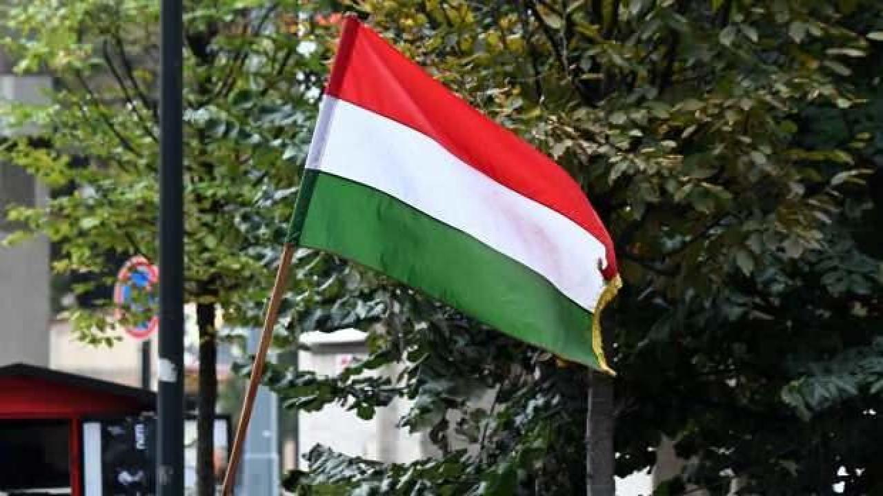 Macaristan'da enerjide 