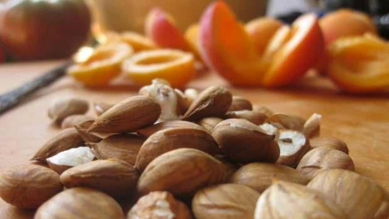Malatya’nın kayısı çekirdeği kahvesi Bahar Kapıda’da