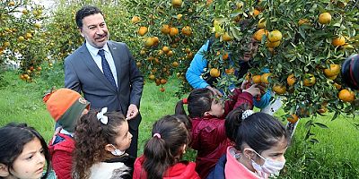 MANDALİNA ÜRETİCİSİNDE, BELEDİYE MUTLULUĞU