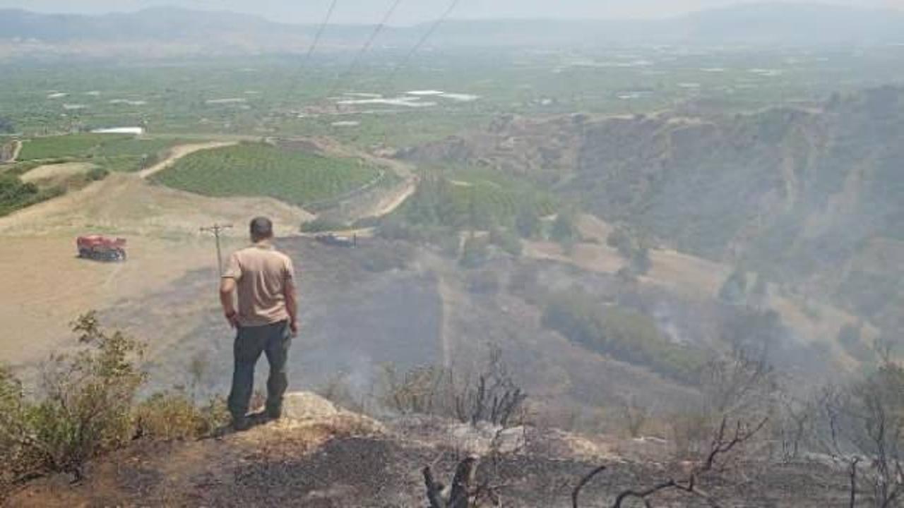 Manisa'da makilik yangını