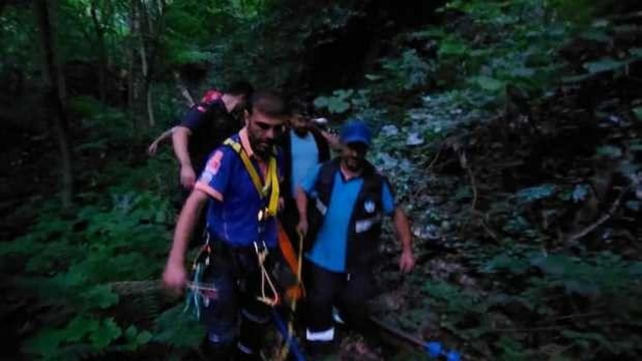 Mantar toplarken dere yatağına düşen kişi yaralandı