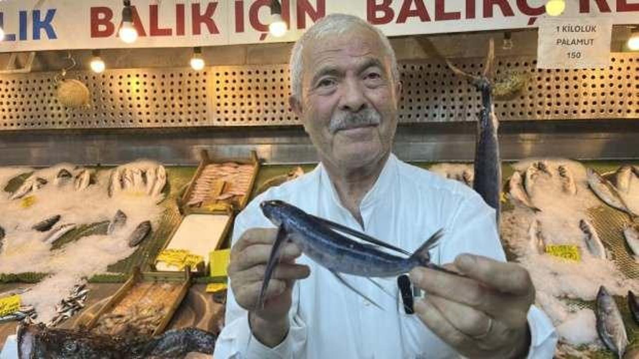 Marmara Denizi'nde uçan balık yakalandı