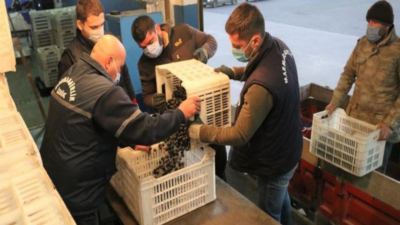 Marmarabirlik’ten 45 milyon liralık ödeme