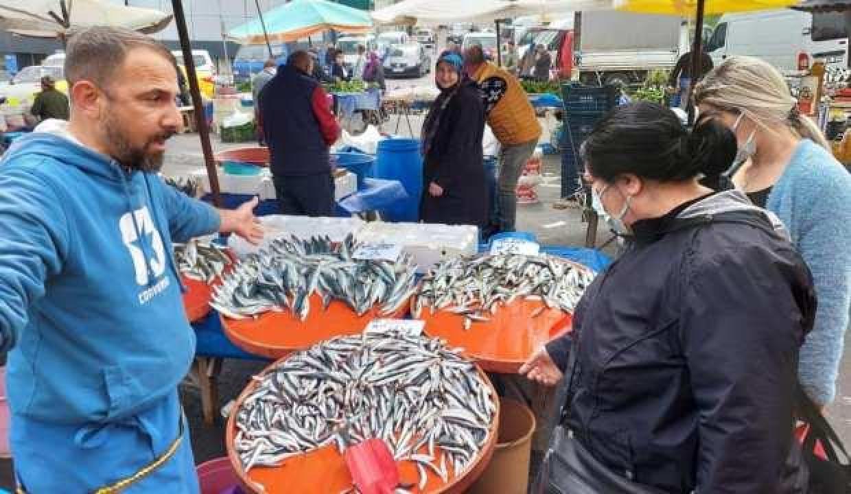 Mayınlara inat hamsi ve istavritin kilosu 25 liraya düştü