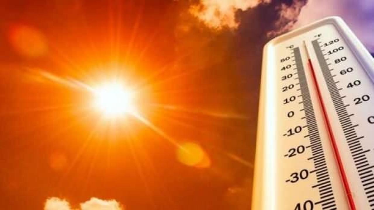 Meksika'da aşırı sıcak: 155 kişi hayatını kaybetti