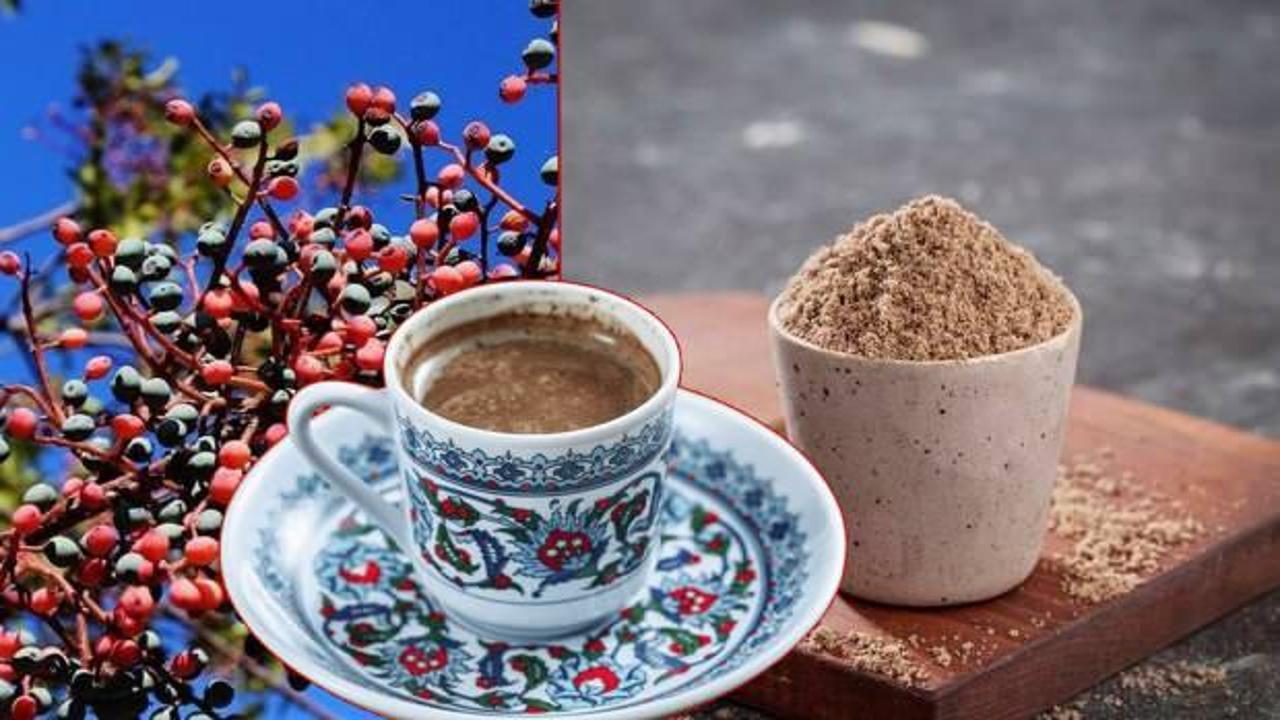 Menengiç kahvesi nedir, nasıl yapılır? Sütlü menengiç kahvesi faydaları