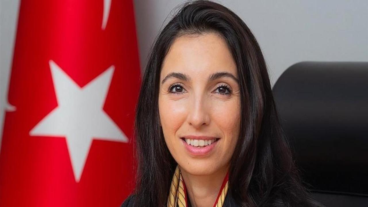 Merkez Bankası Başkanı Erkan, Meclis'te sunum yapacak