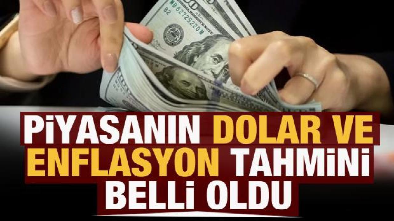 Merkez Bankası yıl sonu dolar kuru beklenti anketini açıkladı