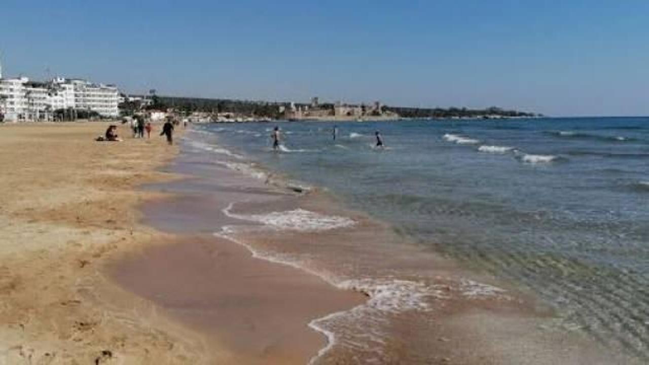 Mersin sahillerine çok sayıda ölü denizanası vurdu