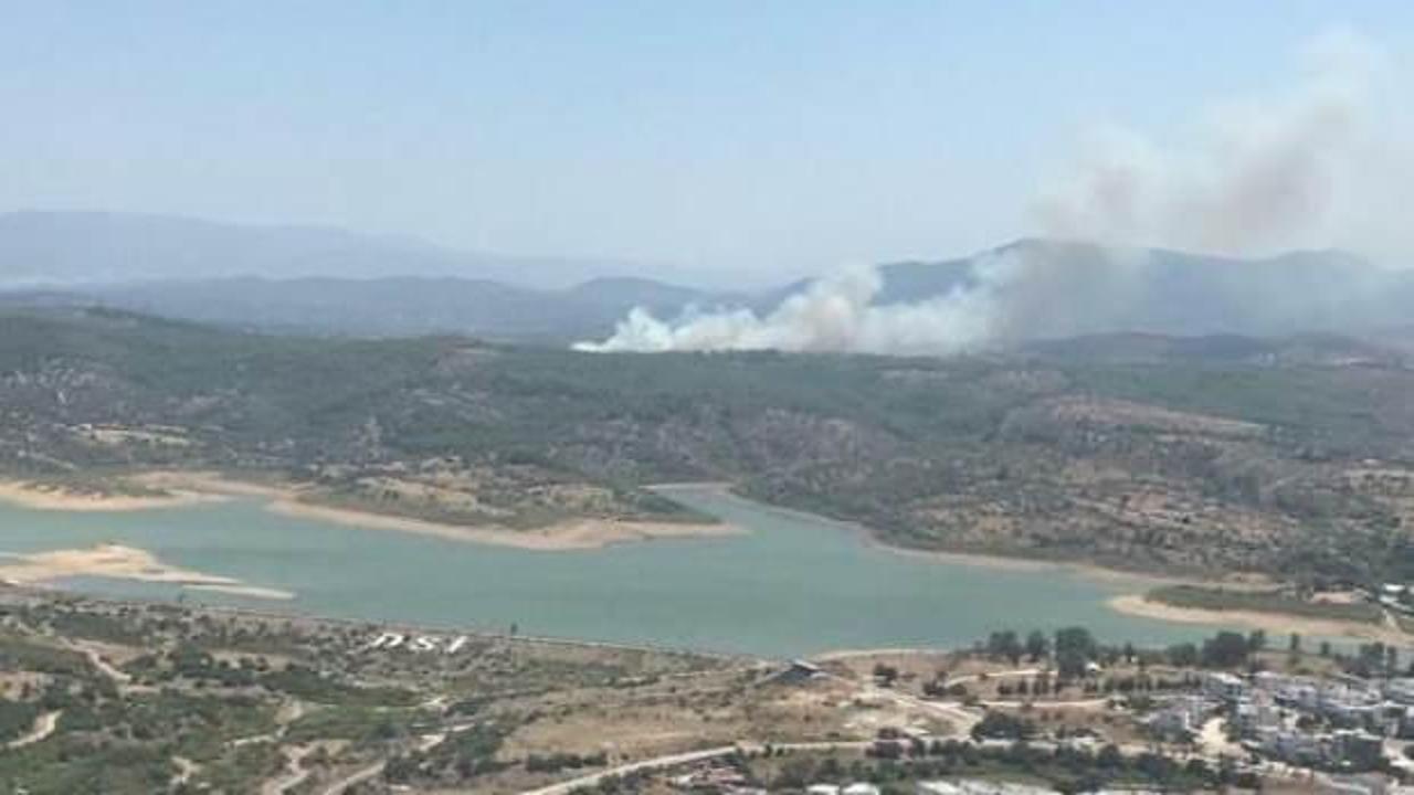 Milas'ta orman yangını
