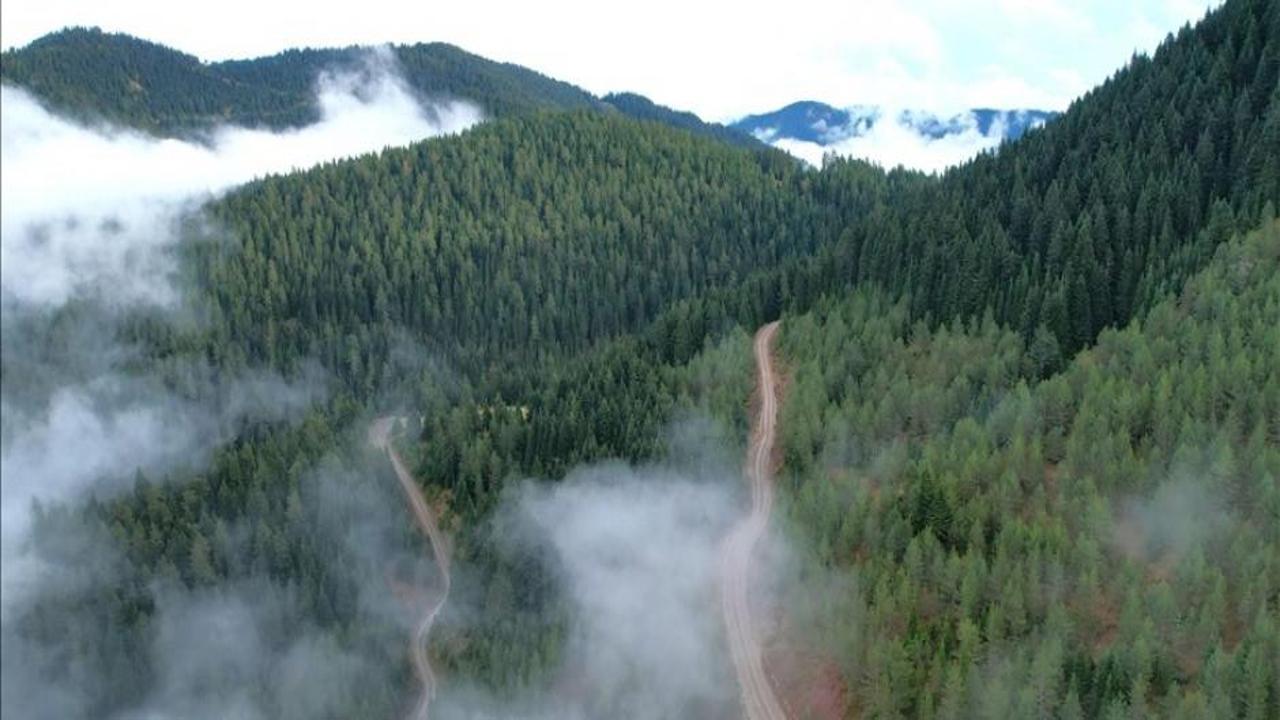 Milli park ve tabiat parklarındaki tesislere ilişkin düzenleme yapıldı