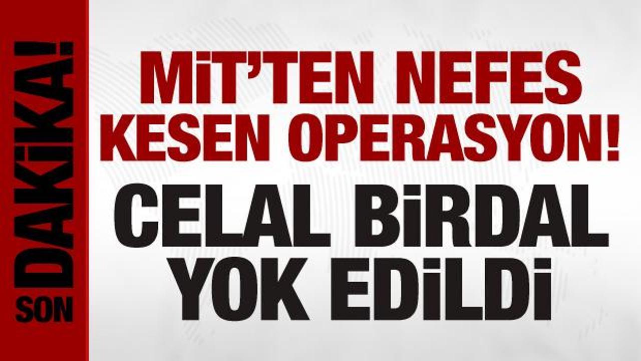 MİT, Celal Birdal'ı etkisiz hale getirdi