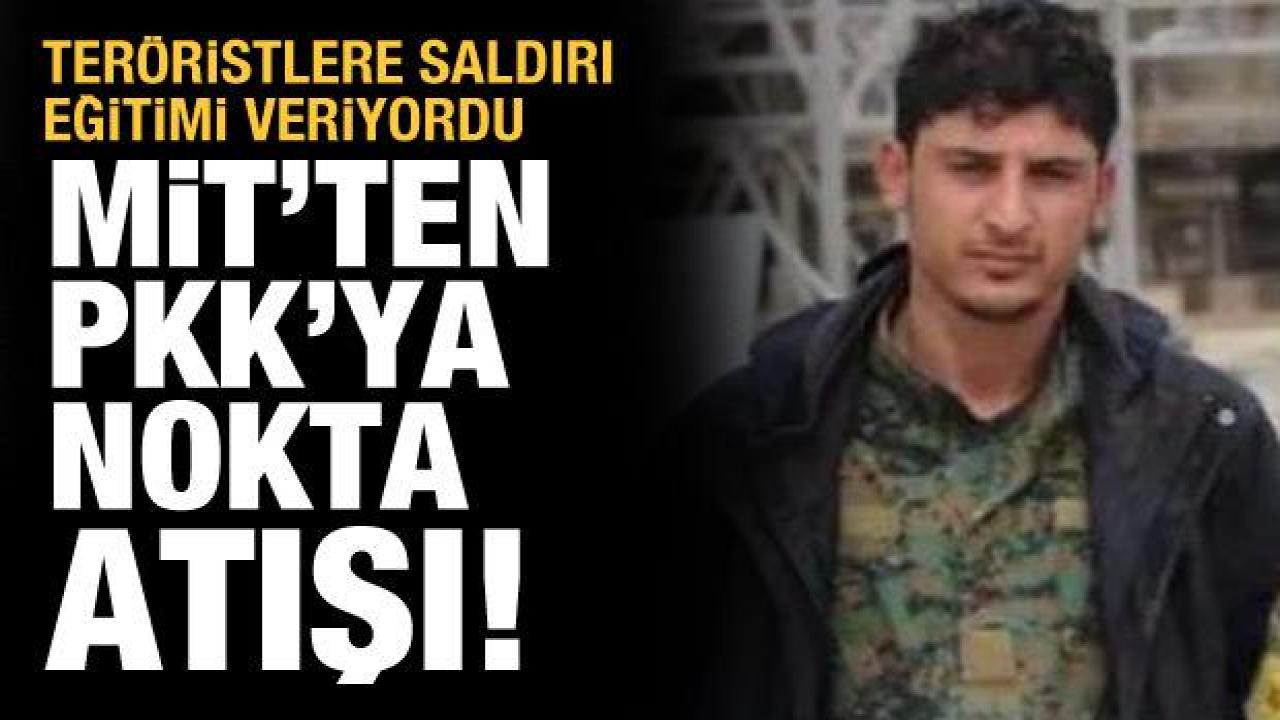 MİT'ten Kamışlı'da bir operasyon daha