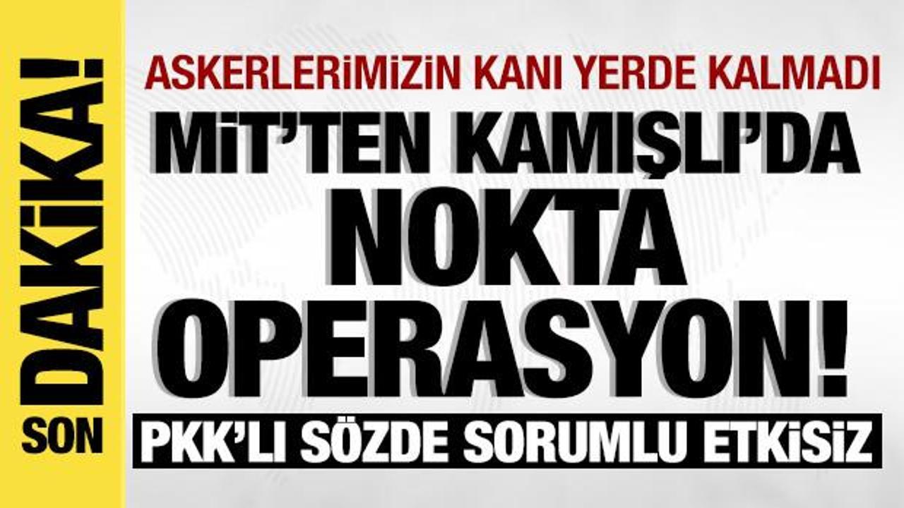 MİT'ten Kamışlı'da nokta operasyon: PKK'nın sözde sorumlusu etkisiz hale getirildi!