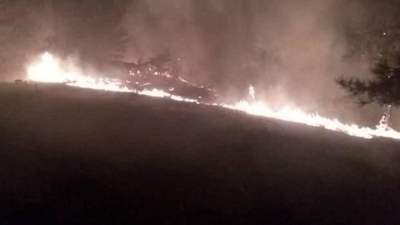 Muğla Köyceğiz'de orman yangını