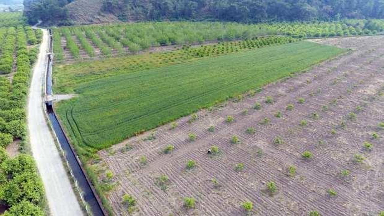 Muğla’da 140 bin dekar alan su ile buluştu