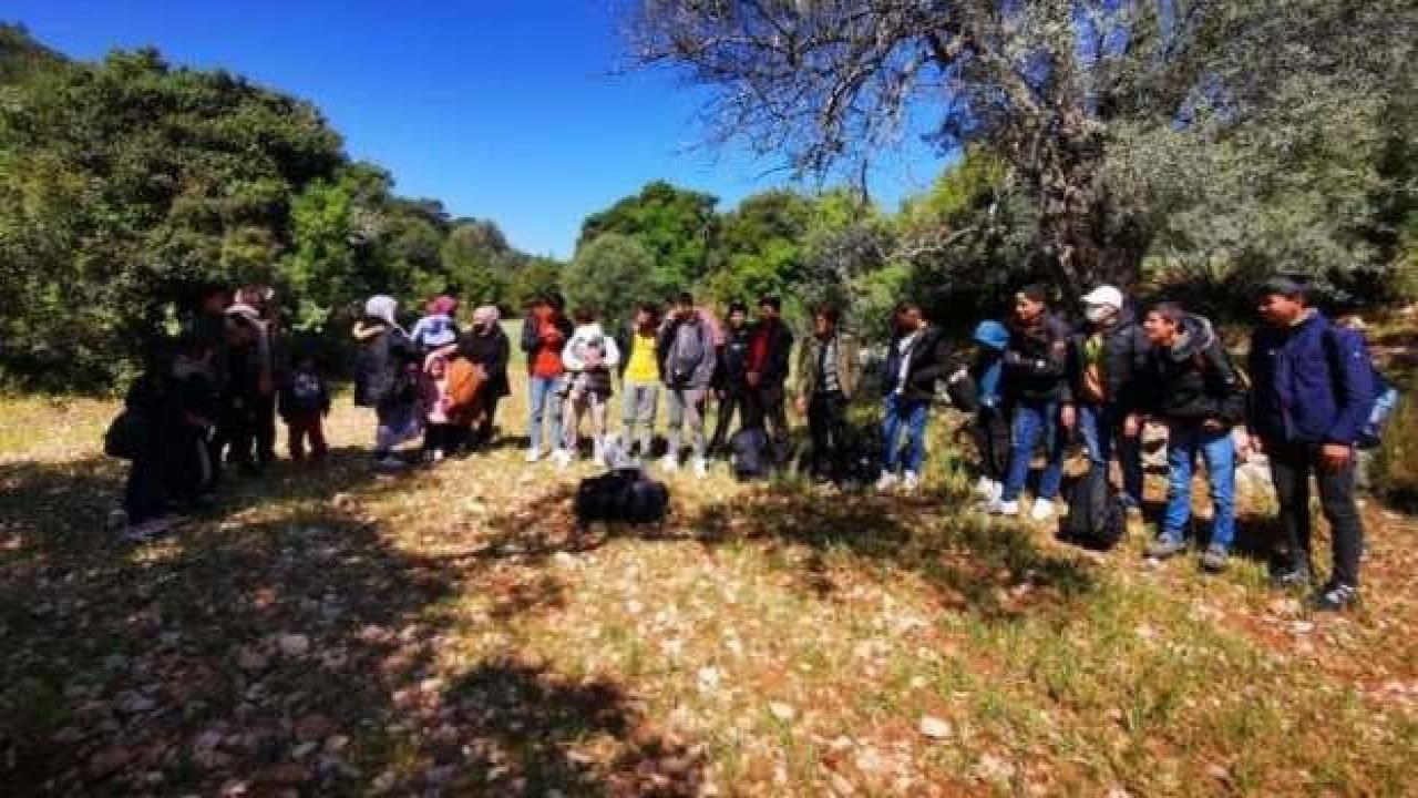 Muğla'da 55 düzensiz göçmen yakalandı