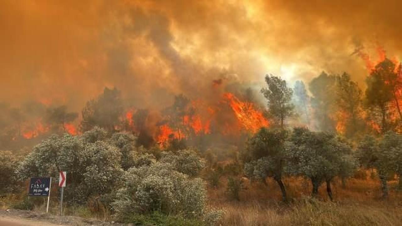 Muğla'da orman yangını