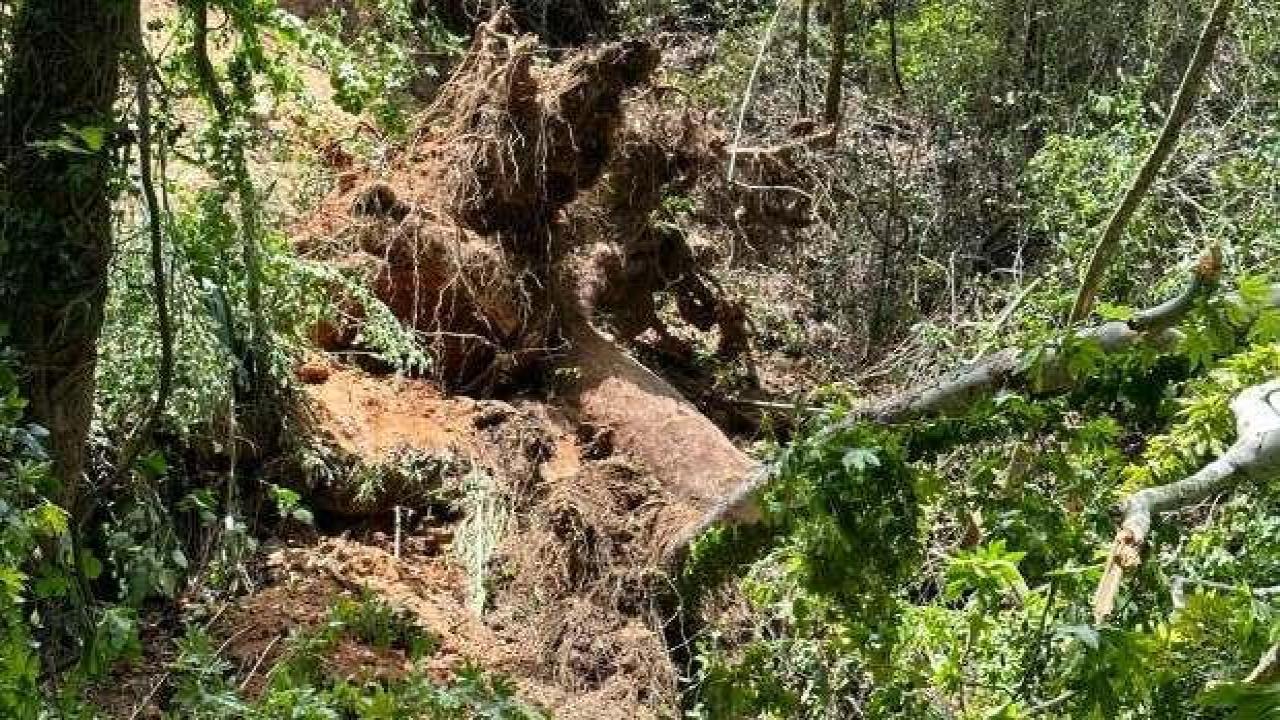 Muğla'da Rus turistler dehşeti yaşadı: 1 ölü, 2 yaralı