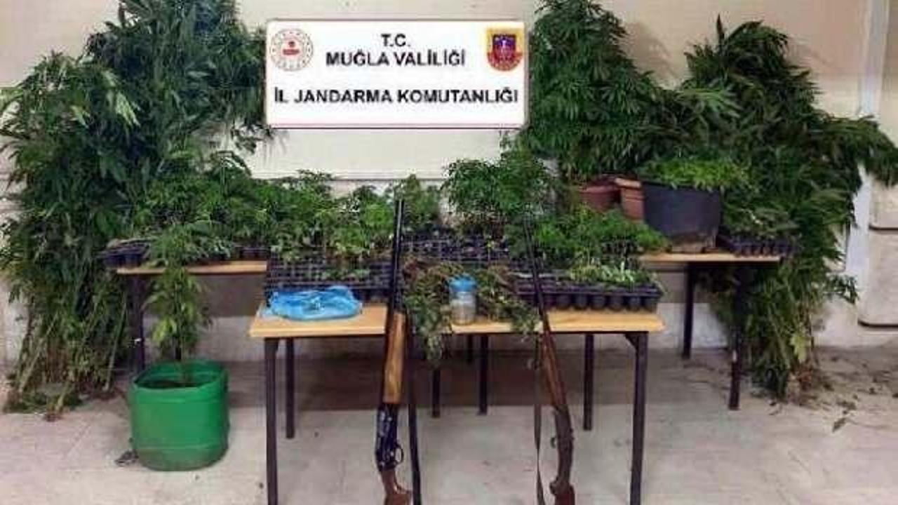 Muğla'da uyuşturucu operasyonu: 27 gözaltı