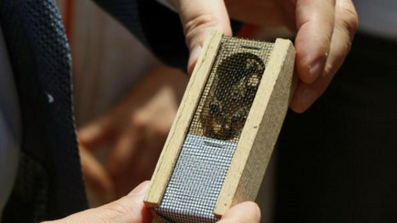 Muğlalı arıcılara damızlık ana arı dağıtımı