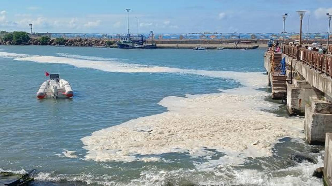 Müsilaj adıyla bilinen deniz salyası Karadeniz'e sıçradı