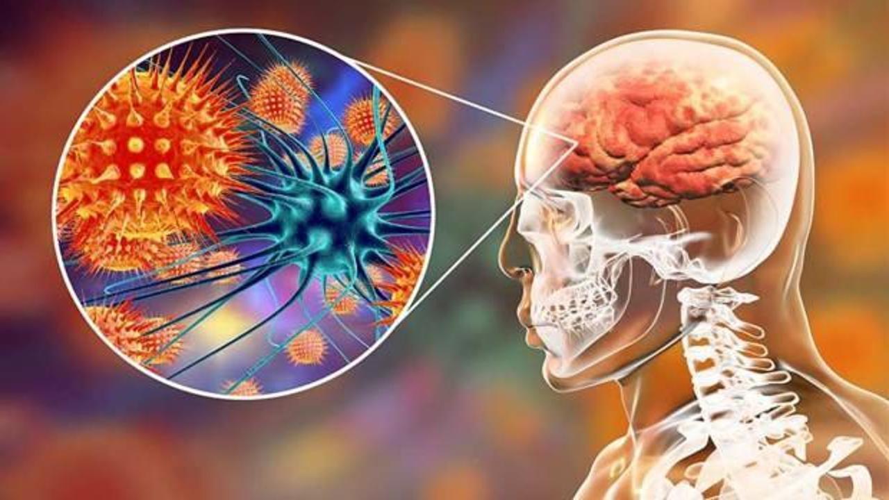 Nijerya'da menenjit ve Lassa ateşi salgınlarından 762 kişi öldü