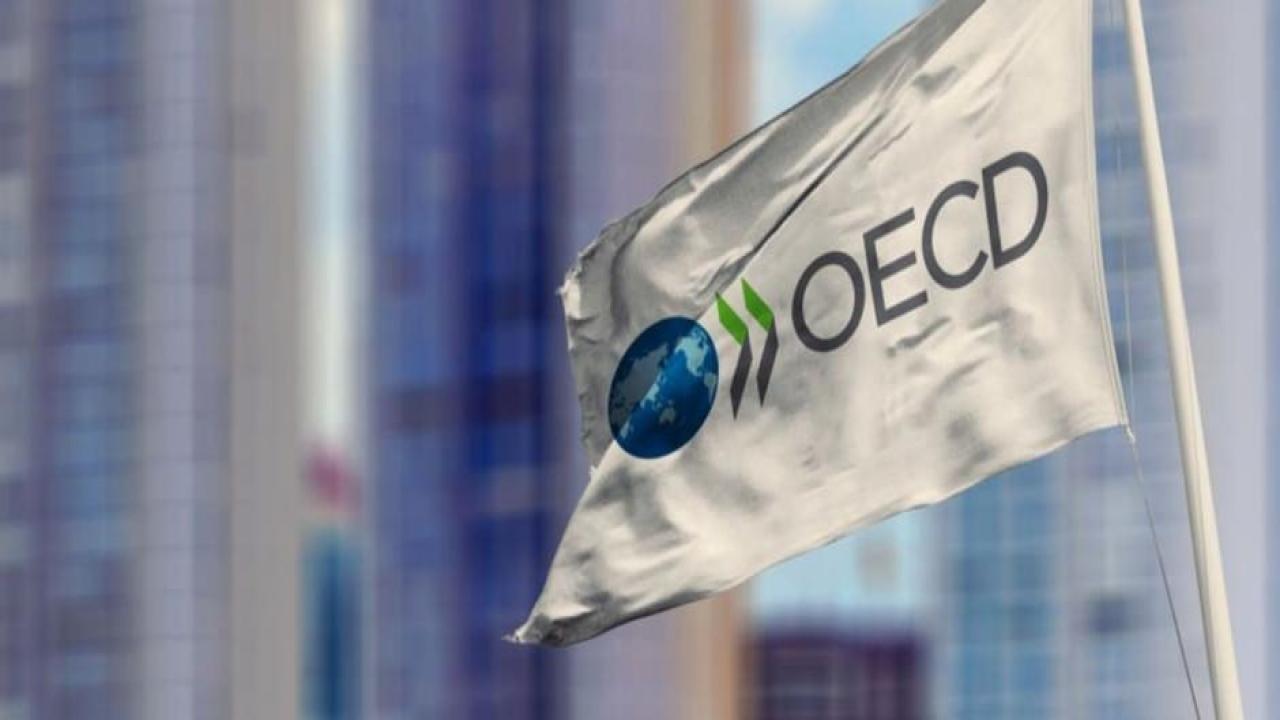 OECD, Türkiye'nin büyüme tahminini yükseltti