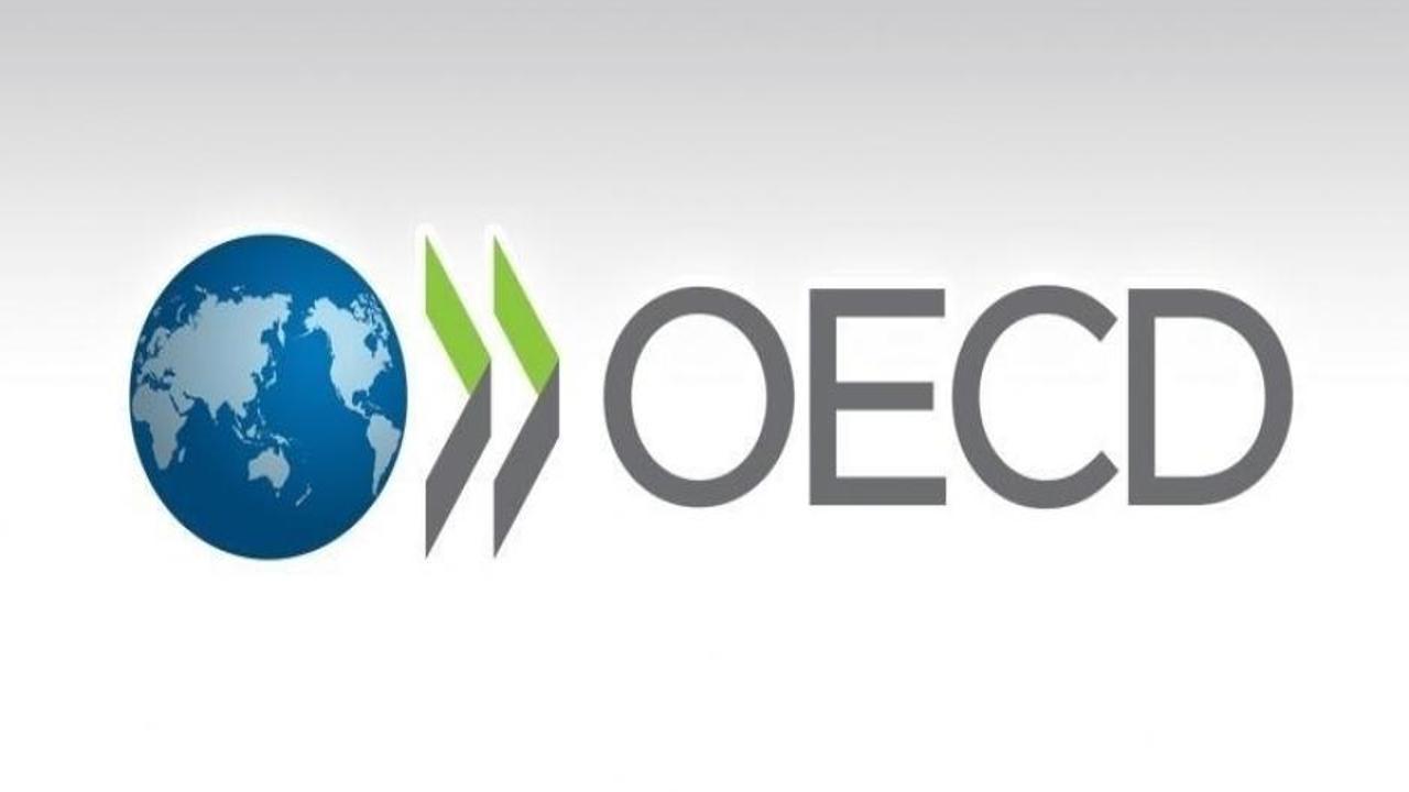 OECD, Türkiye'nin enflasyon ve büyüme tahminini yükseltti