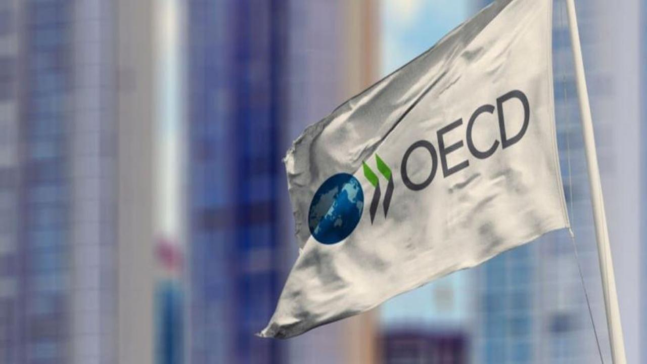 OECD'den Türkiye'nin büyümesi için yeni tahmin