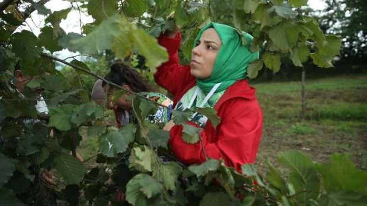 Oğlu şehit oldu, 40 kızı yardımına koştu: Duygulandıran hasat