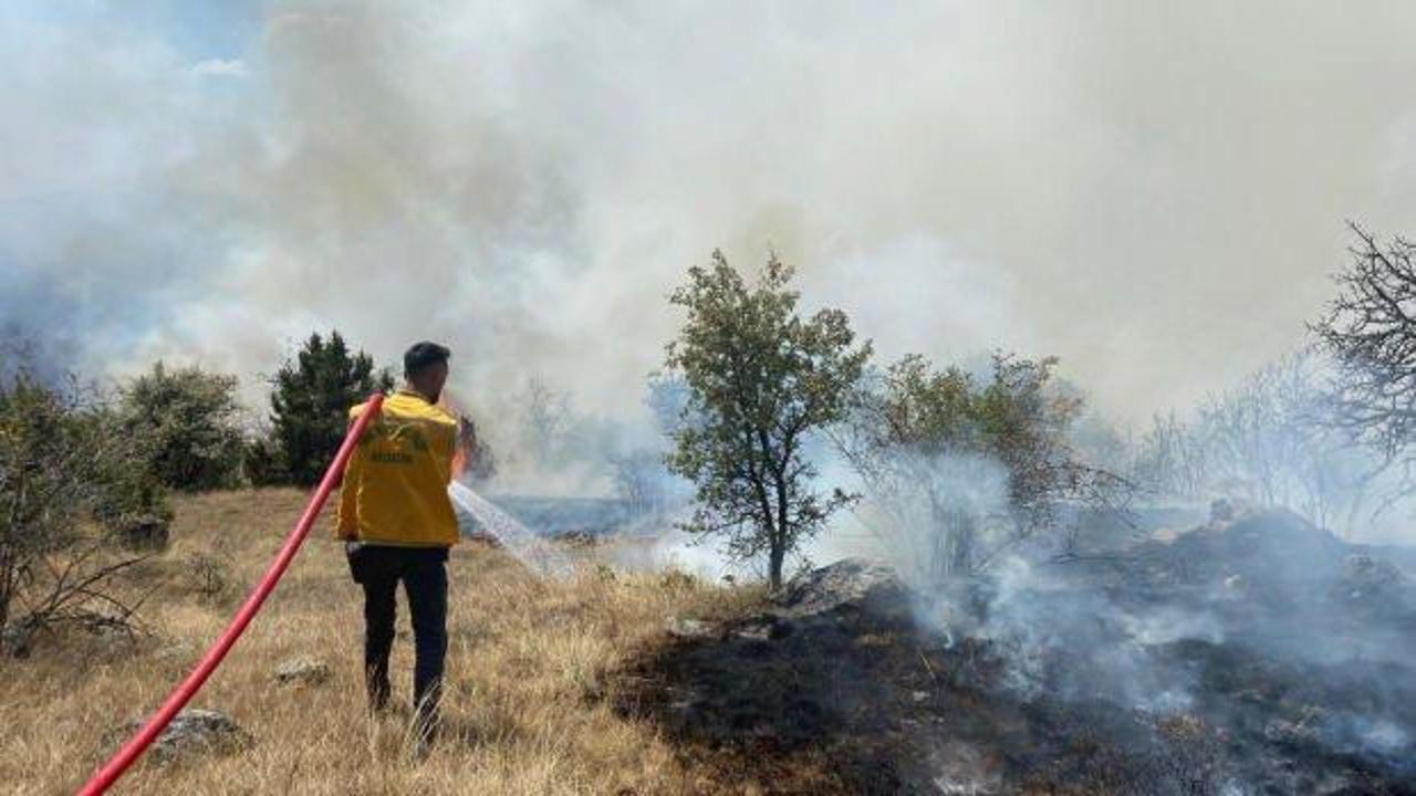 OGM'den Bolu'daki yangınla ilgili son dakika açıklaması!